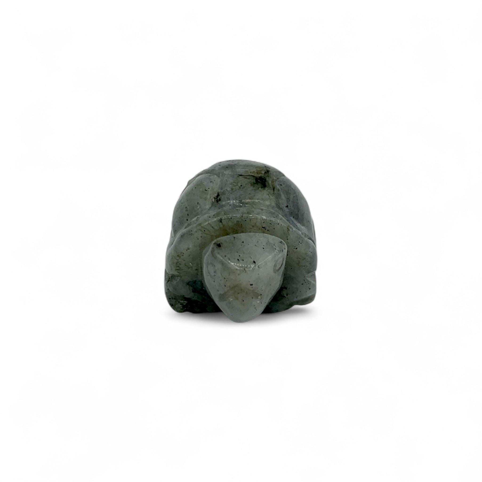 Labradorite Turtle $30